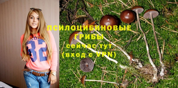 шишки Абинск