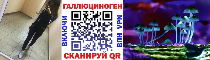 Псилоцибиновые грибы GOLDEN TEACHER  сайты даркнета состав  Касли  даркнет сайт 